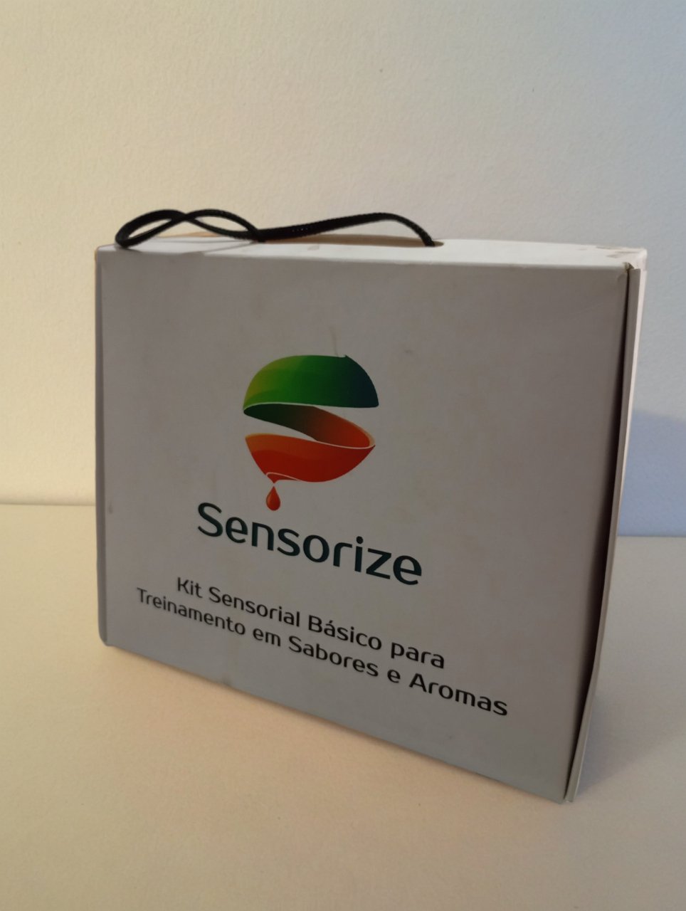 Sensorize 1_Easy-Resize.com